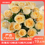 京东鲜花昆明基地玫瑰花买10枝送10枝颜色随机色玫瑰【热卖】产地仓严选