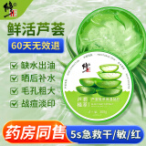 修正芦荟胶晒后补水保湿温和滋养修护舒缓滋润嫩肤痘印痘坑凝胶300g