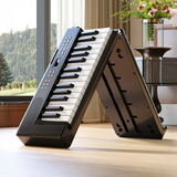 贝多辰（Beethostar）可折叠电钢琴61键力度键电子钢琴便携成人儿童幼师演奏专业琴 