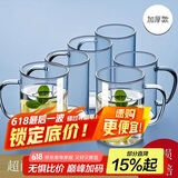 青苹果耐热玻璃杯6只装 可加热围炉煮茶水杯 带把泡茶杯牛奶杯