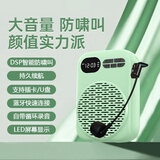 雅兰仕（EARISE）606新款便携大音量小蜜蜂扩音器防啸叫老师上课专用麦克风超长续航 绿色