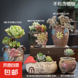 大口径拼盘多肉花盆陶瓷素烧透气个性粗陶桌面造景绿植手绘小花盆 DX艺美01组合5个 【看图标注】