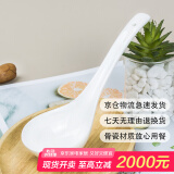 斯凯绨（Sky Top）大号汤勺陶瓷调羹饭勺子餐勺骨瓷纯白家用餐具马戈1件装