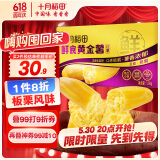 十月稻田 鲜食黄金薯 3斤 玛莎莉红薯 番薯 地瓜 板栗红薯 熟制即食 早餐