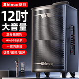 新科广场舞音响户外蓝牙音箱低音炮大音量家用k歌便携式移动扩音器地摊摆摊大喇叭 12吋单咪