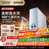 史密斯（A.O.SMITH）佳尼特加热净水器厨下家用直饮净水机净饮机100℃真开水CDR2500S1蓝鲸净热一体Pro 国家补贴