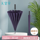 天堂 长柄加大雨伞半自动强抗风商务直杆伞晴雨伞65*16骨 紫裳色
