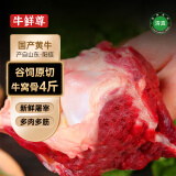 牛鲜尊 国产黄牛原切牛窝骨 净重4斤 生鲜牛肉炖煮食材 
