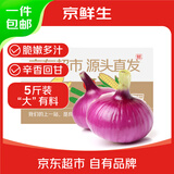 京鲜生 河南紫皮洋葱带皮 净重5斤 单果300g+ 新鲜蔬菜源头直发