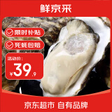 鲜京采【活鲜】生蚝净重5斤 5XL 9-12只左右 源头直发 端午聚餐