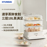 HYUNDAI韩国 电蒸锅 多功能家用大容量蒸蛋器蒸汽锅电蒸笼蒸箱可视早餐机 【白色】XX-DZG08电蒸锅