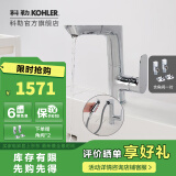 科勒（KOHLER） 龙头台盆面盆碗盆龙头利奥抽拉脸盆龙头 31240T-4-ECP+角阀1对