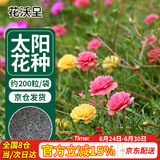 花沃里 太阳花种子混色约200粒 花卉种子家庭盆栽阳台/办公室/庭院草籽