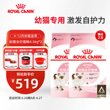 皇家皇家猫粮 幼猫猫粮 幼猫奶糕 K36 通用粮 4-12月 4.5KG*2