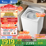 小天鹅（LittleSwan）波轮洗衣机全自动 12公斤 小乌梅2.0轻奢版【TB12VE20DW】水魔方防缠绕 家电国家补贴20%