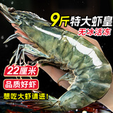 尚致虾青岛大虾新鲜大虾青虾冰虾海虾大对虾鲜活冷冻基围虾 17-22厘米 3斤(净重)  高品质 3斤