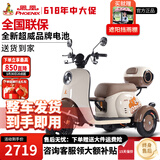 凤凰甲壳虫电动三轮车家用小型老年代步电动车老人休闲电瓶车 500W+48V24A黑金+续航约45公里