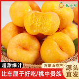 京地达山东蒙阴黄金油蟠桃净重3斤10-12枚 沂蒙山桃子 源头直发包邮