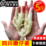辰实【现挖发顺丰】四川嫩姜 新鲜生姜 红芽仔姜 子姜泡醋姜 四川红芽嫩姜5斤