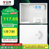 公牛（BULL）弱电箱 多媒体信息箱集线箱塑料配电箱LXR1-32s小箱带GN-A02插座 