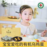 初土记 有机乌鸡蛋30枚2.5斤 绿壳鸡蛋 新鲜鸡蛋散养土鸡蛋 礼盒原产地