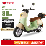 五星钻豹电动车72V20AH电动摩托车1200W大功率外卖车成人男女士代步电瓶车 G2 星空牛果绿