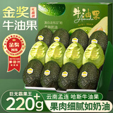 山姆大叔云南斯牛油果【多地次日达】哈孟连当季鳄梨孕妇礼物新鲜水果礼盒 精品中果（单果100-130g） 4枚装（轻享尝鲜装）较划算