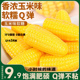 比比赞（BIBIZAN）玉米软糖500g 婚庆喜糖 儿童学生党 怀旧解馋 健康零食 批发团购