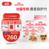 皇家猫粮 幼猫猫粮 干湿搭配 K36 4.5kg+啫喱肉冻KJP 85G*3