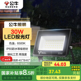 公牛（BULL）LED投光灯户外庭院工厂园林灯露营灯 IP65防水等级30W-6500K白光