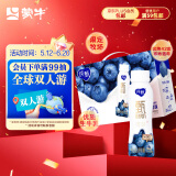 蒙牛纯甄甄酸奶寒地蓝莓风味酸奶PET瓶230g×10瓶
