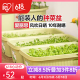 爱丽思（IRIS）种菜盆蔬菜种植箱塑料花盆特大号阳台种菜神器户外花箱种花菜盆 【1个】大(60cm长)绿色 送隔网