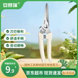 安赛瑞 修枝剪刀果树剪园艺剪 盆栽剪花卉工具园林绿植剪刀花艺 5J00327