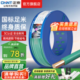 正泰（CHNT）电线铜芯电缆电源线BV1.5/2.5/4平方6平方国标纯铜家装硬电线 绿色BV2.5（100米）