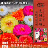 寿禾 太阳花种子苗盆栽种植花种籽 混色重瓣太阳花种子约30万粒(大袋)