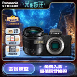 松下（Panasonic）G100D 微单/单电/无反数码相机 专业收音 翻转自拍Vlog-L相机 学生相机 内置三个麦克风 G100D+【12-60mm白盒】单镜套装
