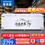 星奥雪冰柜商用家用卧式冷柜大容量冷藏冷冻展示柜双温商用大容量冷冻柜商用大冰柜 2188单温智能铜管款（长2.65米双压缩机）