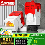 安普康（AMPCOM）网络模块六类 免打千兆非屏蔽CAT6网线面板插座 RJ45水晶头镀金UTP电脑网口信息母座 AMC680(WT)
