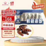 老尹家鲜食海参即食海参3-5年参周套餐礼盒 固形物80%以上 7只/盒 鲜食海参 140g 买一盒送一盒