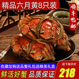 【活蟹】阳澄清歆大闸蟹 鲜活特大螃蟹公蟹母蟹 海鲜水产生鲜礼盒 精品全母蟹2.5-2.8两 八只礼盒装
