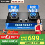 Haotaitai妈妈安全灶燃气灶煤气灶定时防干烧双灶家用台式嵌入式猛火灶熄火保护灶具5.2KW天然气液化气灶 【智能防干烧+鸳鸯九头】2419STJ 管道天然气