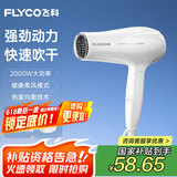 飞科（FLYCO）电吹风机家用发廊大功率2000W速干恒温便携可折叠白色FH6232