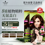 施华蔻（Schwarzkopf）怡然染发霜4.65巧克力金棕*2 染发剂植物染发膏自己染盖白