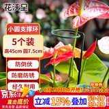 花沃里花架植物爬藤架植物支撑杆阳台绿植防倒伏支撑架圆环型45CM5个装