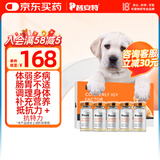 普安特IGY抗特力适用于犬瘟细小猫瘟鼻支疱疹病毒阶段免疫调理阶段