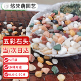 悠梵萌鱼缸底砂造景石五彩石溪流石水族箱龟缸多肉盆栽装饰石子5斤6-9mm