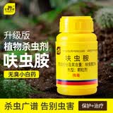 史丹利（STANLEY）呋虫胺杀虫剂呋虫咹蚧壳虫蟑螂花卉植物多肉土壤专用小白药100g