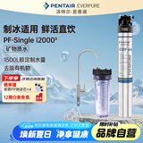 爱惠浦（Everpure）Insurice PF Single I20002净水器 无桶大流量-额定净水量1500L 矿物质水净水机