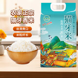 当季产地正宗优质猫牙米煲仔饭炒饭专用米新籼米长粒香软大米 猫牙米2.5KG*1