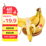 佳农 进口大把香蕉净重2.4斤 家庭装 新鲜水果 源头直发  包邮